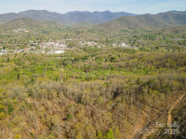 99999 Sunset Dr, Black Mountain, NC 28711 - photo 20