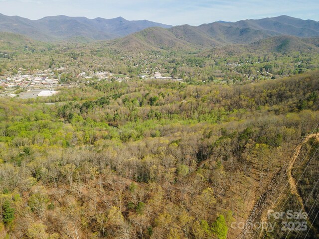 99999 Sunset Dr, Black Mountain, NC 28711 - photo 21