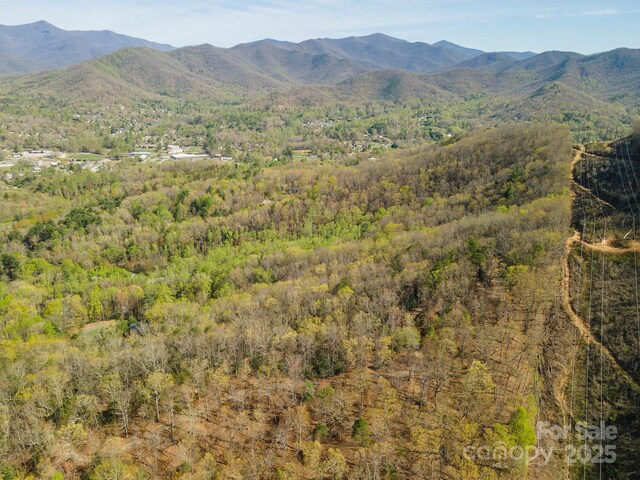 99999 Sunset Dr, Black Mountain, NC 28711 - photo 22