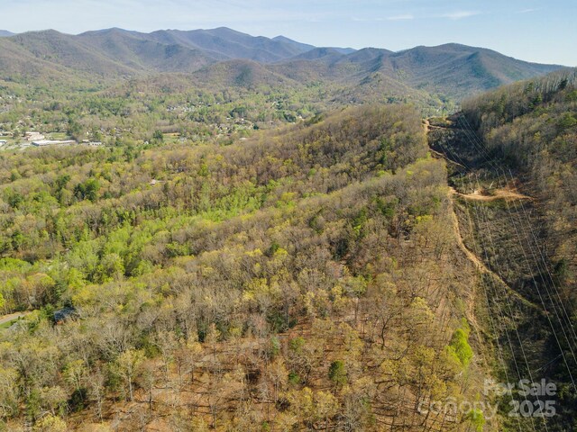 99999 Sunset Dr, Black Mountain, NC 28711 - photo 23