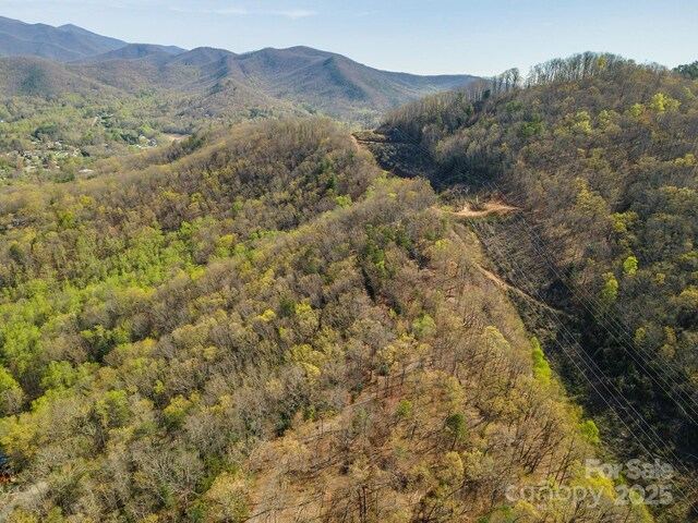 99999 Sunset Dr, Black Mountain, NC 28711 - photo 24
