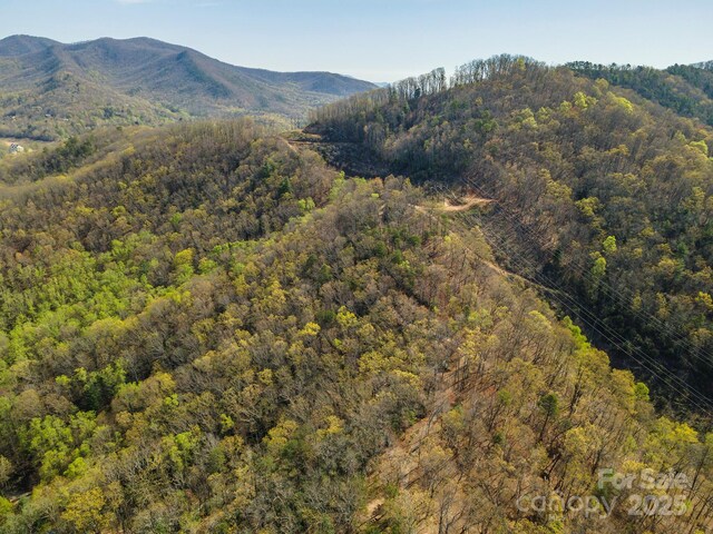 99999 Sunset Dr, Black Mountain, NC 28711 - photo 25