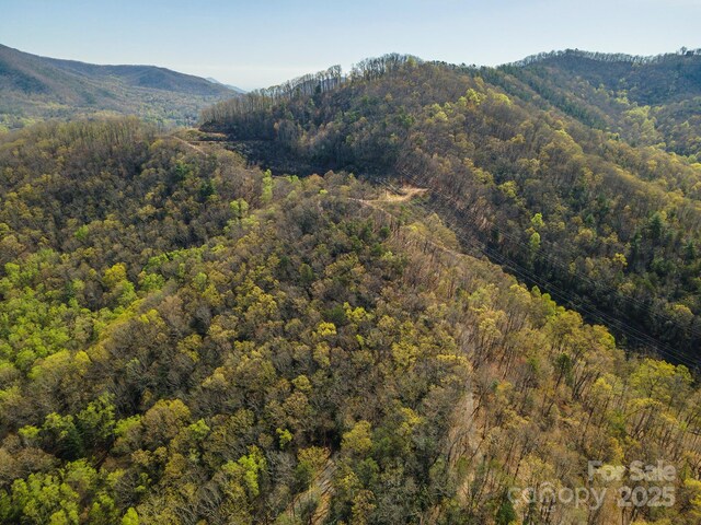 99999 Sunset Dr, Black Mountain, NC 28711 - photo 26
