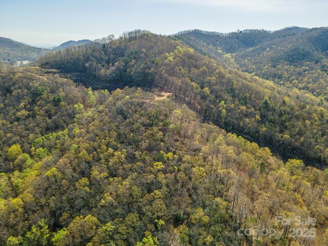 99999 Sunset Dr, Black Mountain, NC 28711 - photo 27
