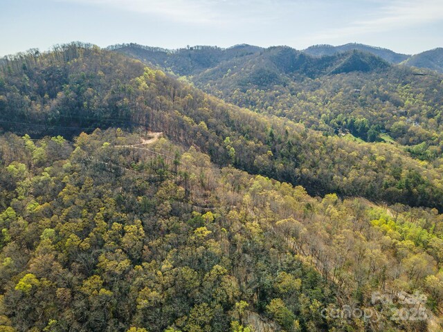 99999 Sunset Dr, Black Mountain, NC 28711 - photo 28
