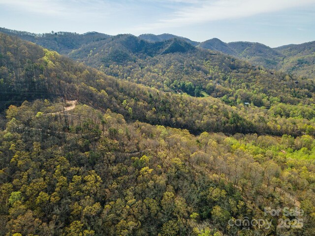 99999 Sunset Dr, Black Mountain, NC 28711 - photo 29