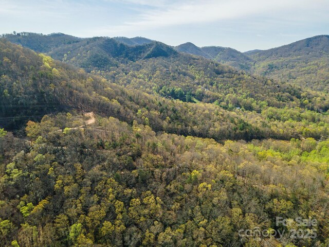 99999 Sunset Dr, Black Mountain, NC 28711 - photo 30