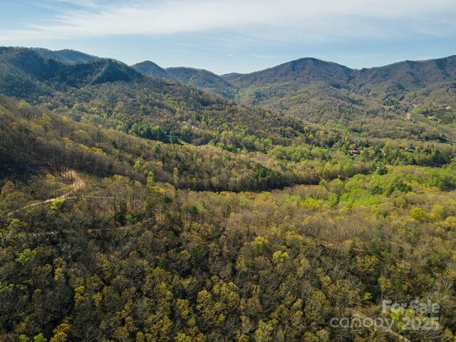 99999 Sunset Dr, Black Mountain, NC 28711 - photo 31