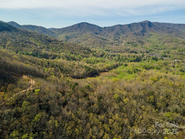 99999 Sunset Dr, Black Mountain, NC 28711 - photo 32