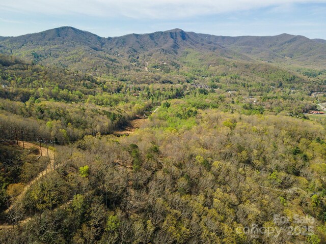 99999 Sunset Dr, Black Mountain, NC 28711 - photo 33