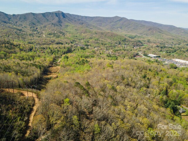 99999 Sunset Dr, Black Mountain, NC 28711 - photo 34