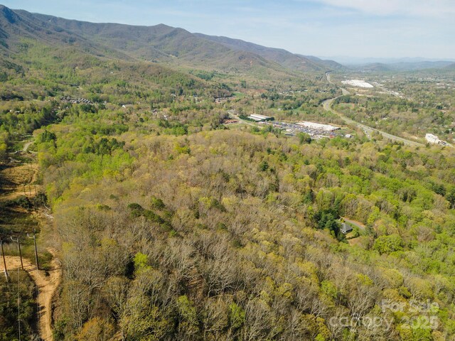 99999 Sunset Dr, Black Mountain, NC 28711 - photo 35