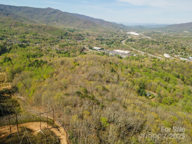 99999 Sunset Dr, Black Mountain, NC 28711 - photo 36