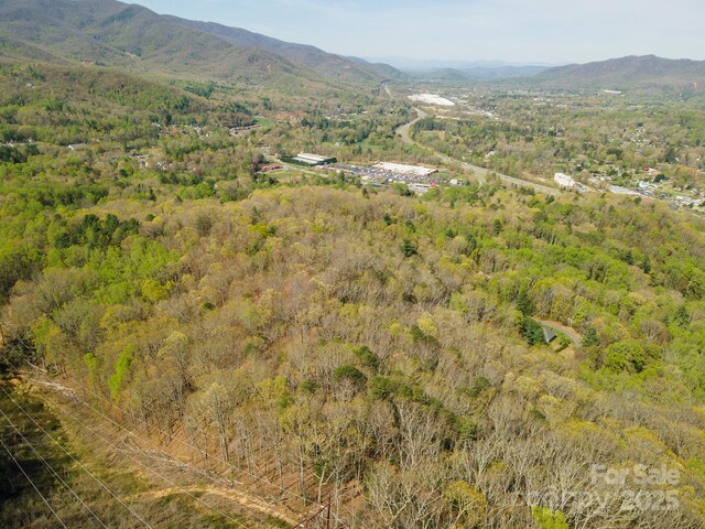 99999 Sunset Dr, Black Mountain, NC 28711 - photo 37