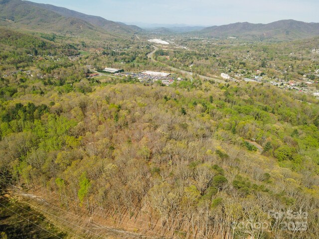99999 Sunset Dr, Black Mountain, NC 28711 - photo 38