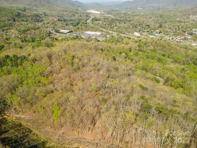 99999 Sunset Dr, Black Mountain, NC 28711 - photo 39