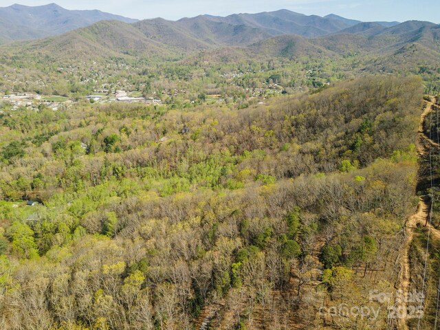 99999 Sunset Dr, Black Mountain, NC 28711 - photo 40