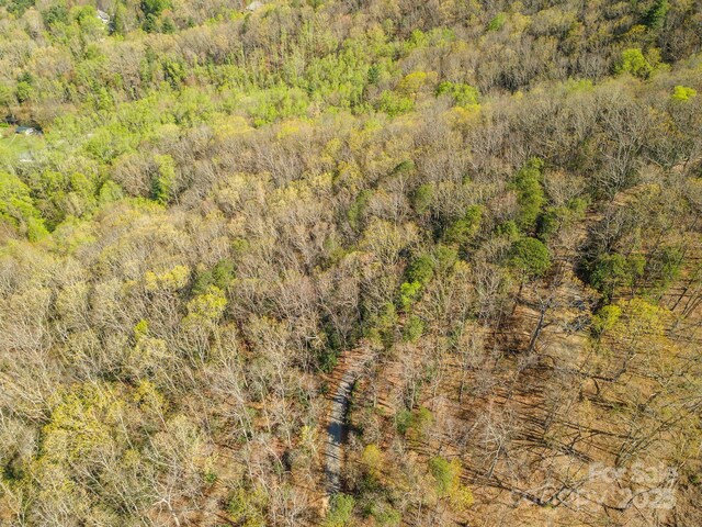 99999 Sunset Dr, Black Mountain, NC 28711 - photo 41