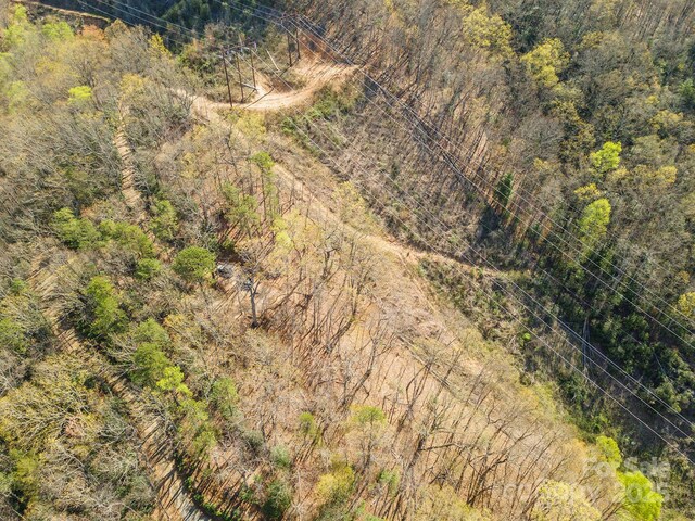 99999 Sunset Dr, Black Mountain, NC 28711 - photo 42