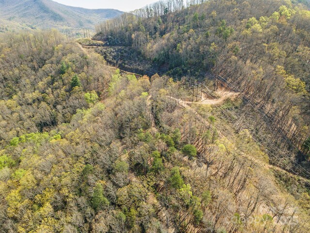 99999 Sunset Dr, Black Mountain, NC 28711 - photo 43