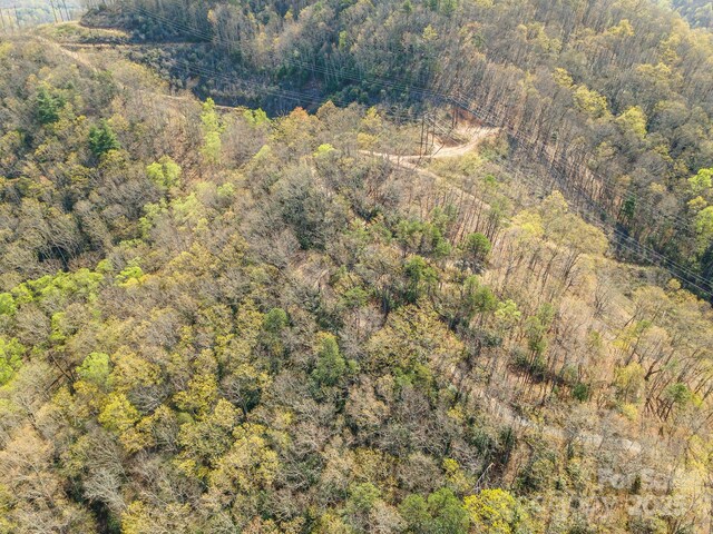 99999 Sunset Dr, Black Mountain, NC 28711 - photo 44