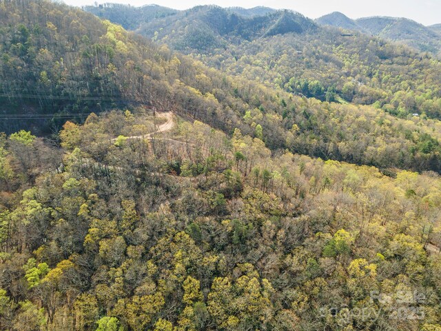 99999 Sunset Dr, Black Mountain, NC 28711 - photo 45