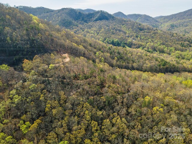 99999 Sunset Dr, Black Mountain, NC 28711 - photo 46