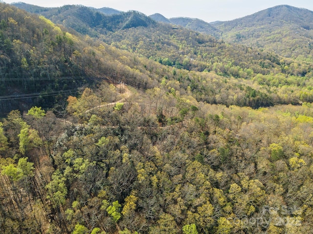 99999 Sunset Dr, Black Mountain, NC 28711 - photo 47
