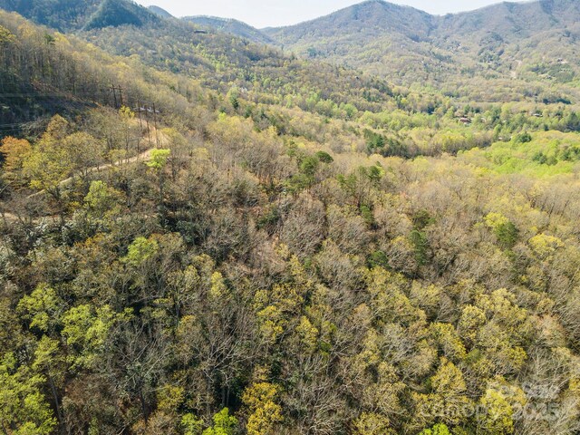 99999 Sunset Dr, Black Mountain, NC 28711 - photo 48