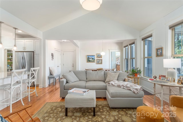 95 Greenwells Glory Dr, Biltmore Lake, NC 28715 - living area featuring vaulted ceiling and light wood-type flooring