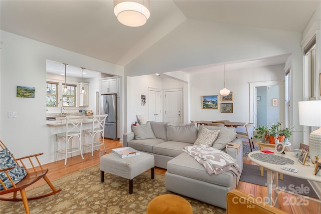 95 Greenwells Glory Dr, Biltmore Lake, NC 28715 - living room with light wood-style floors and high vaulted ceiling