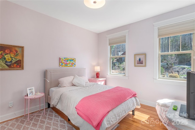 95 Greenwells Glory Dr, Biltmore Lake, NC 28715 - bedroom with baseboards and wood finished floors
