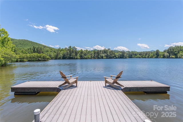 95 Greenwells Glory Dr, Biltmore Lake, NC 28715 - dock with a water view and a forest view