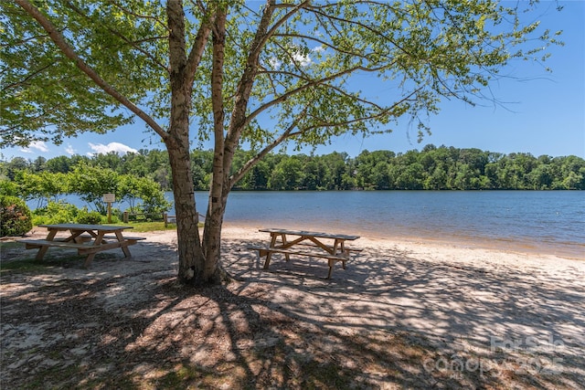 95 Greenwells Glory Dr, Biltmore Lake, NC 28715 - view of property's community with a water view