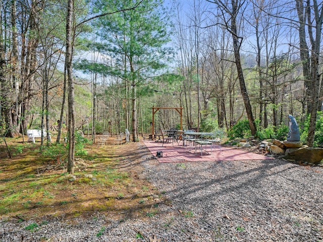 view of yard featuring a patio area and a forest view