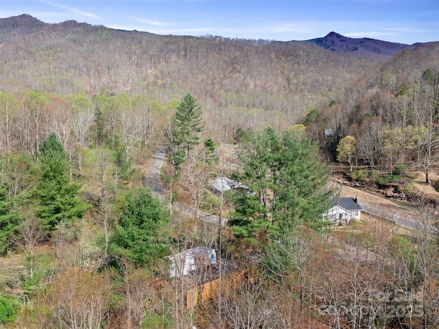 view of mountain feature featuring a forest view
