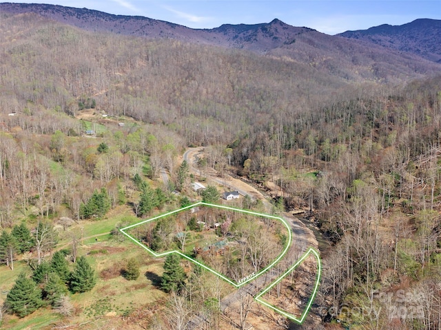 birds eye view of property featuring a forest view and a mountain view