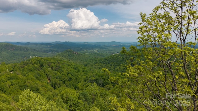 0 Treadway Ridge Dr # 5, Moravian Falls, NC 28654