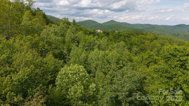 0 Treadway Ridge Dr # 5, Moravian Falls, NC 28654