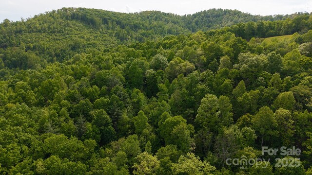 0 Treadway Ridge Dr # 5, Moravian Falls, NC 28654