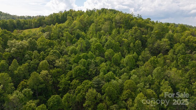 0 Treadway Ridge Dr # 5, Moravian Falls, NC 28654