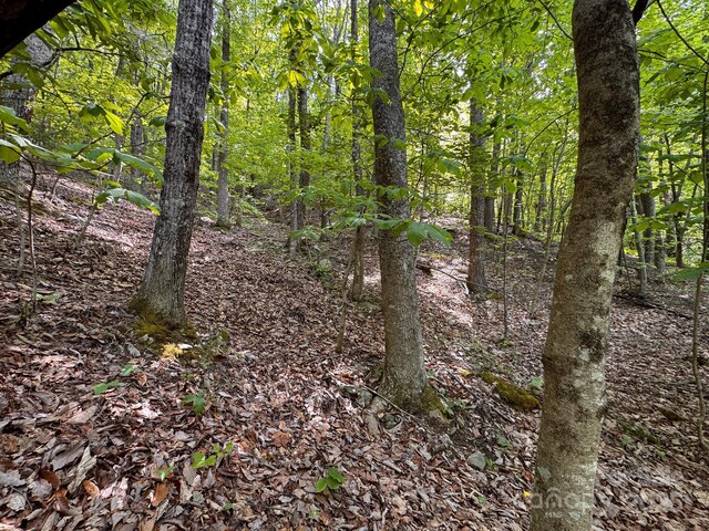 0 Treadway Ridge Dr # 5, Moravian Falls, NC 28654