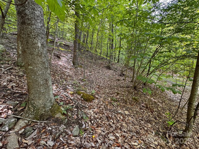 0 Treadway Ridge Dr # 5, Moravian Falls, NC 28654