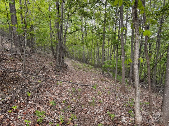 0 Treadway Ridge Dr # 5, Moravian Falls, NC 28654