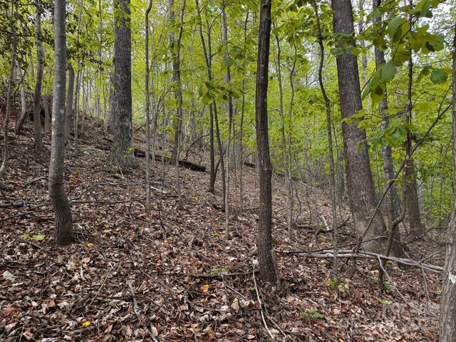 0 Treadway Ridge Dr # 5, Moravian Falls, NC 28654