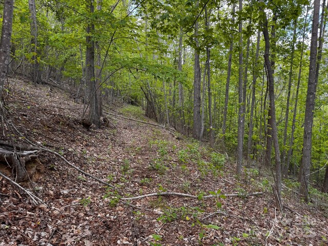 0 Treadway Ridge Dr # 5, Moravian Falls, NC 28654