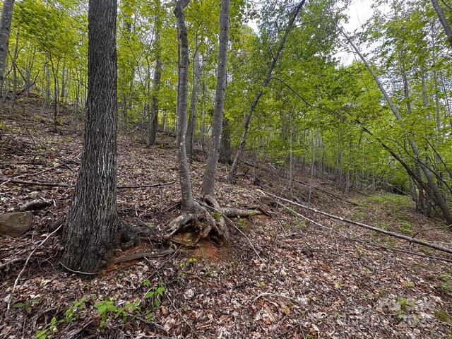 0 Treadway Ridge Dr # 5, Moravian Falls, NC 28654