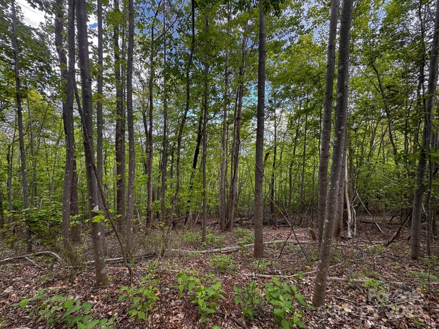 0 Treadway Ridge Dr # 5, Moravian Falls, NC 28654