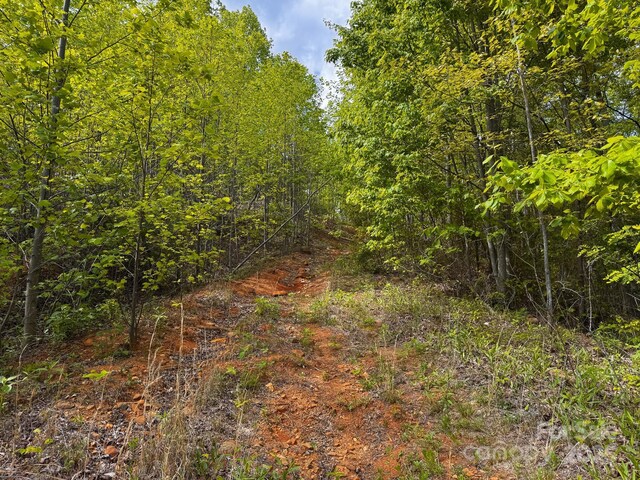 0 Treadway Ridge Dr # 5, Moravian Falls, NC 28654