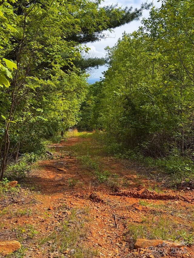 0 Treadway Ridge Dr # 5, Moravian Falls, NC 28654